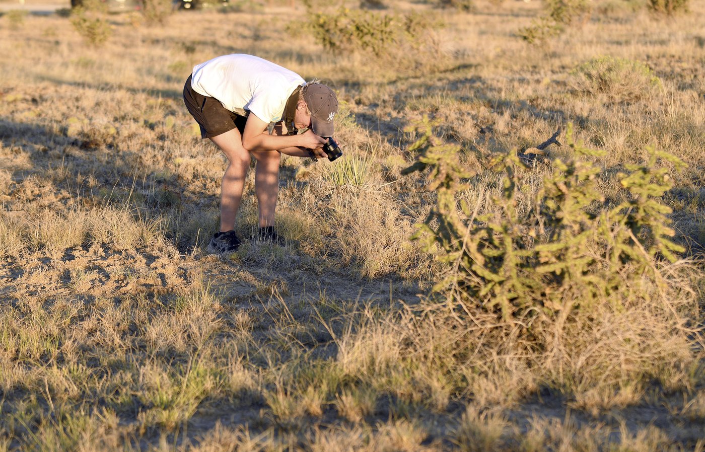 Spider lovers scurry to Colorado town in search of mating tarantulas and community | iNFOnews.ca