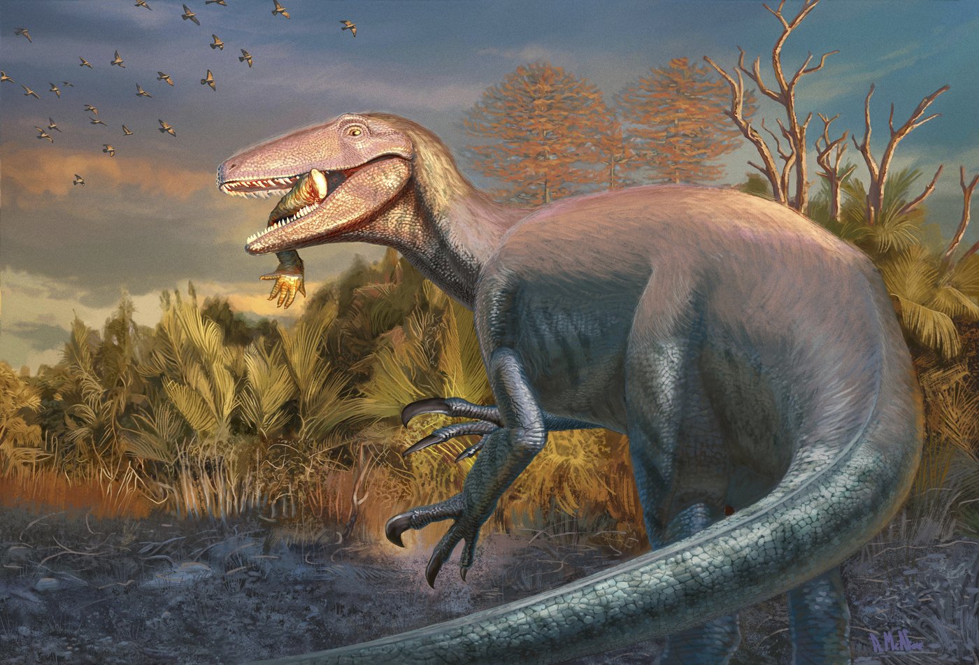 Scientists discover a new dinosaur from Argentina with a crocodile bone in its mouth | iNFOnews.ca Scientists discover a new dinosaur from Argentina with a crocodile bone in its mouth | iNFOnews.ca