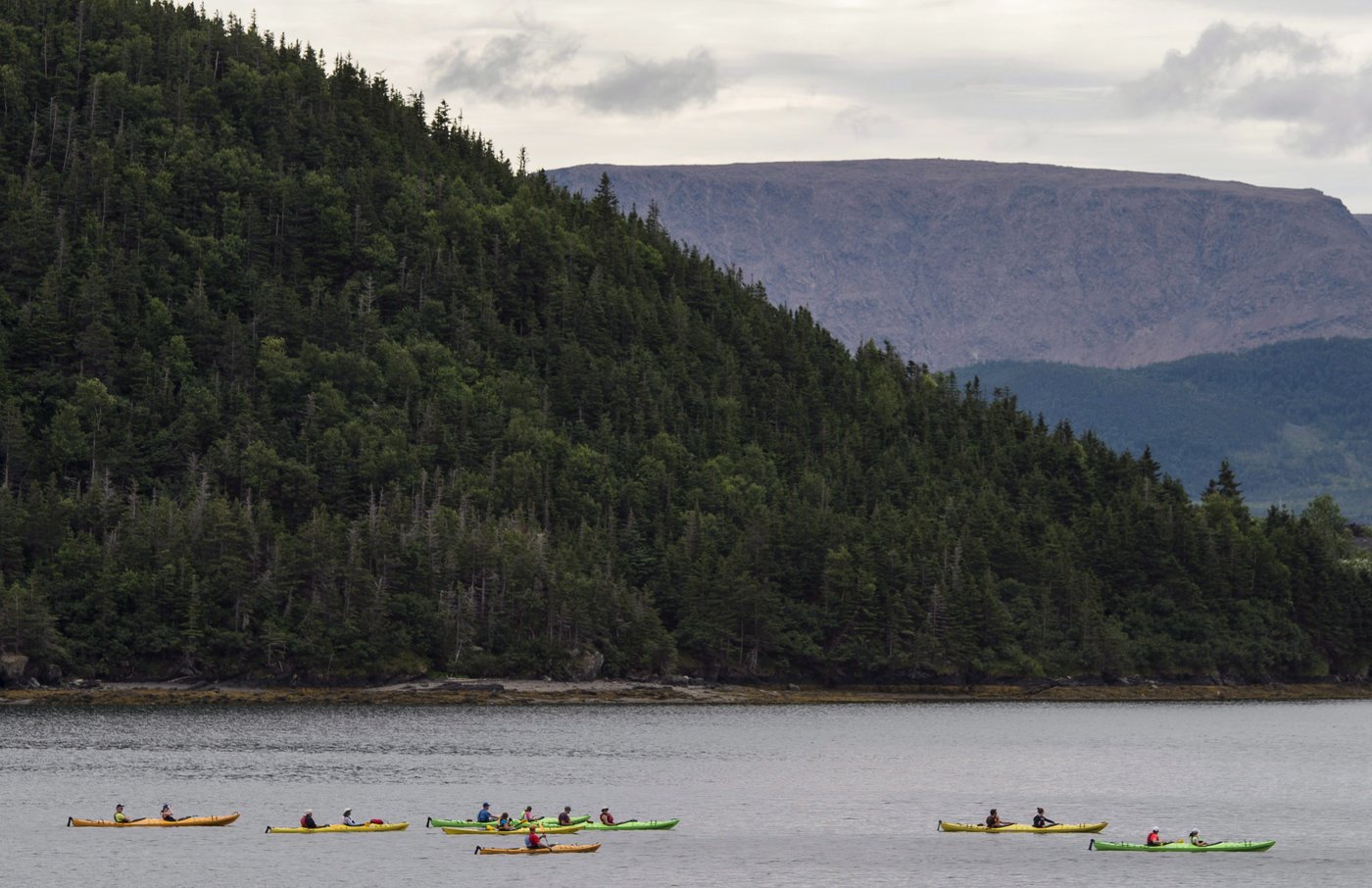 Parks Canada visits increased by 10 per cent with Canada Strong Pass, Ottawa says | iNFOnews.ca