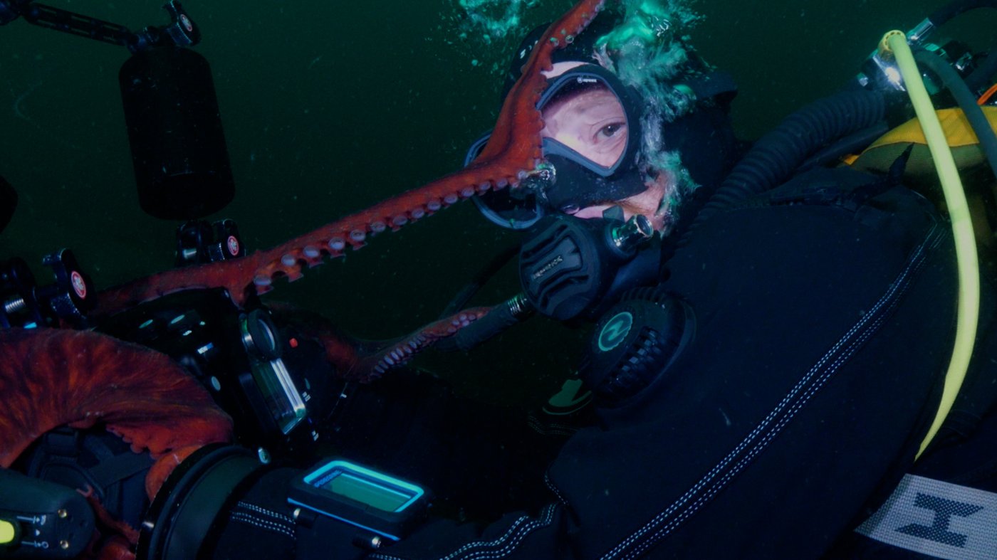 Giant Pacific octopus shoots video of itself after claiming camera from B.C. divers | iNFOnews.ca Giant Pacific octopus shoots video of itself after claiming camera from B.C. divers | iNFOnews.ca