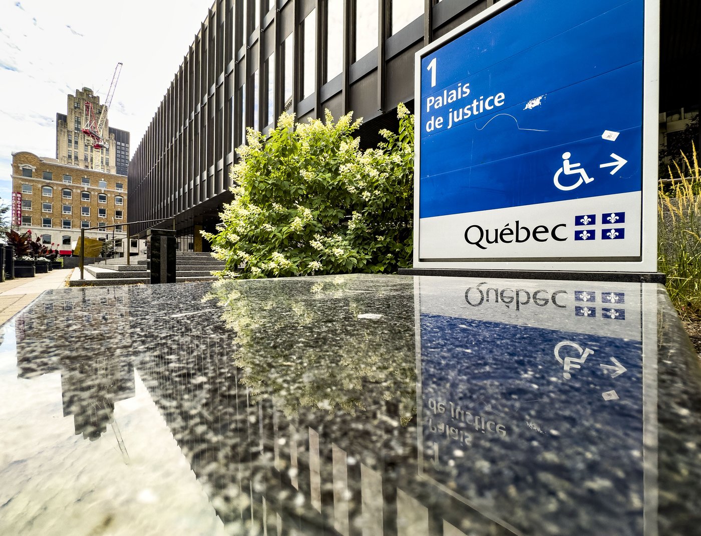 Ambulance service liable after man dies of nut allergy after hospital transfer delay | iNFOnews.ca