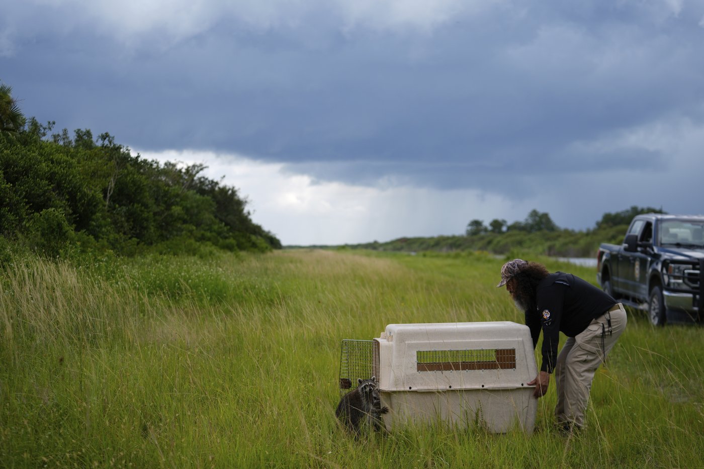Takeaways from AP's story on the Miccosukee's fight to protect the Everglades | iNFOnews.ca Takeaways from AP's story on the Miccosukee's fight to protect the Everglades | iNFOnews.ca