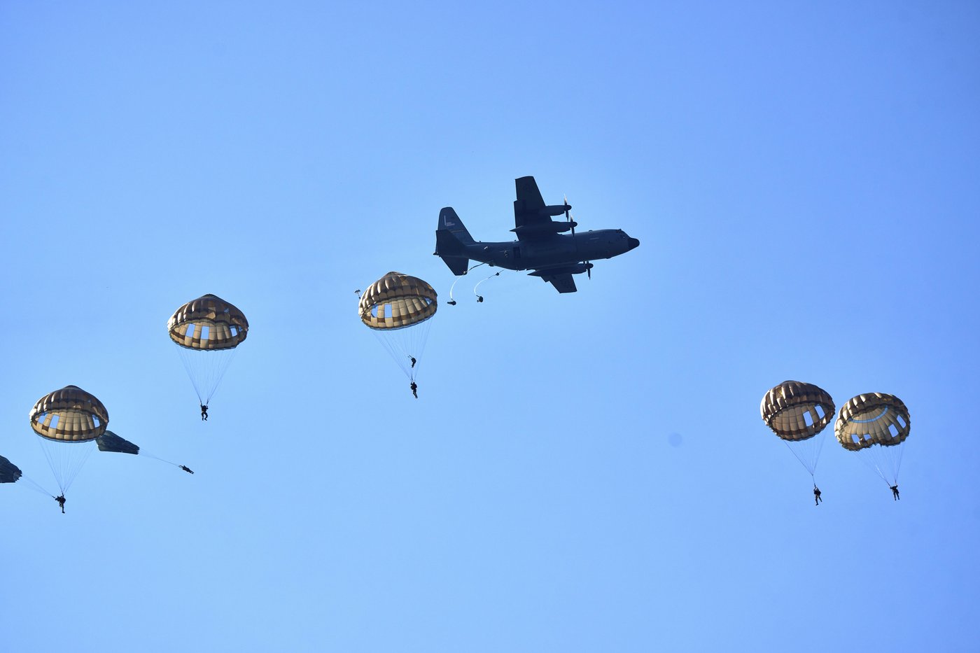 Hundreds of parachutists drop over Dutch heath to commemorate World War II operation | iNFOnews.ca