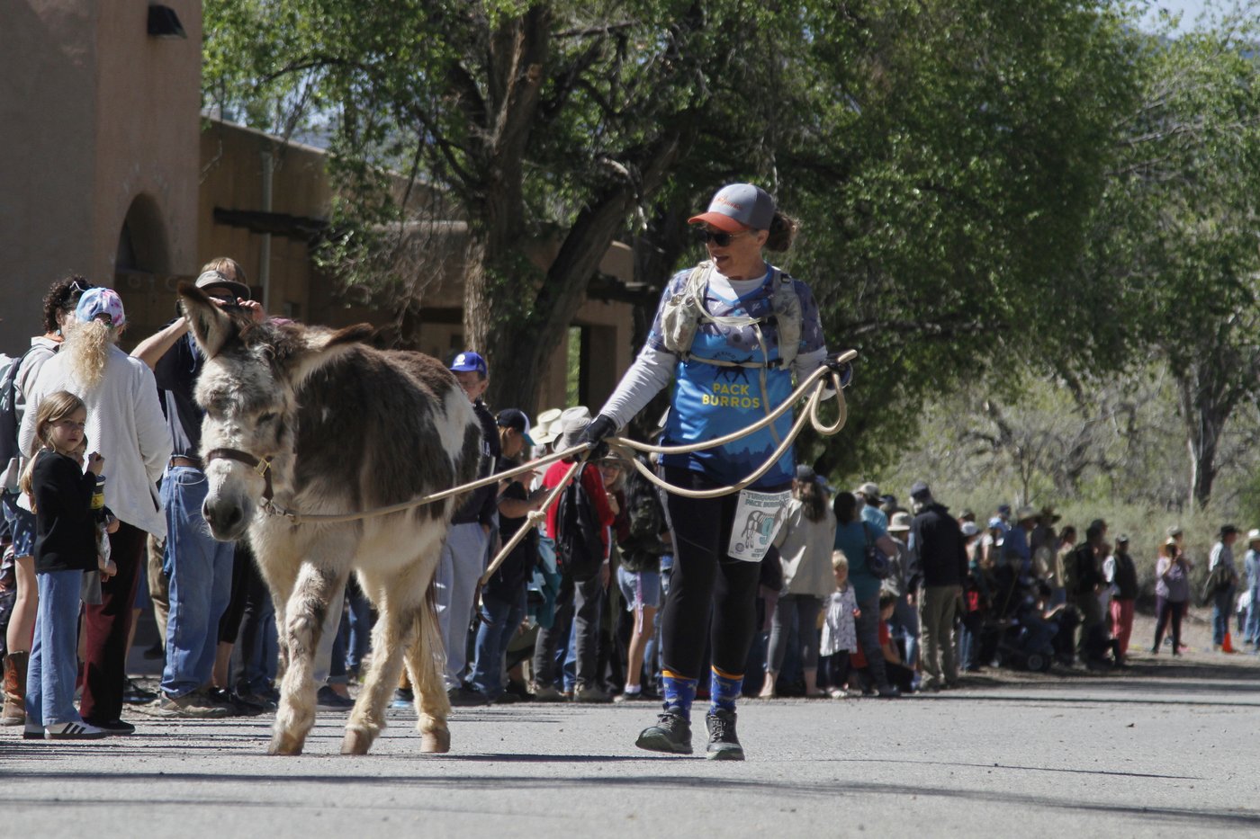 Burro racing wins over runners in backcountry ode to mining history | iNFOnews.ca