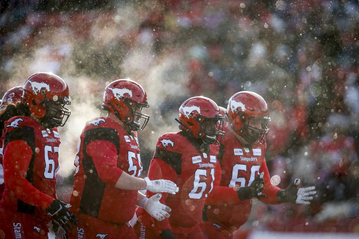 Toronto Argonauts sign veteran Canadian offensive lineman Ryan Sceviour | iNFOnews.ca