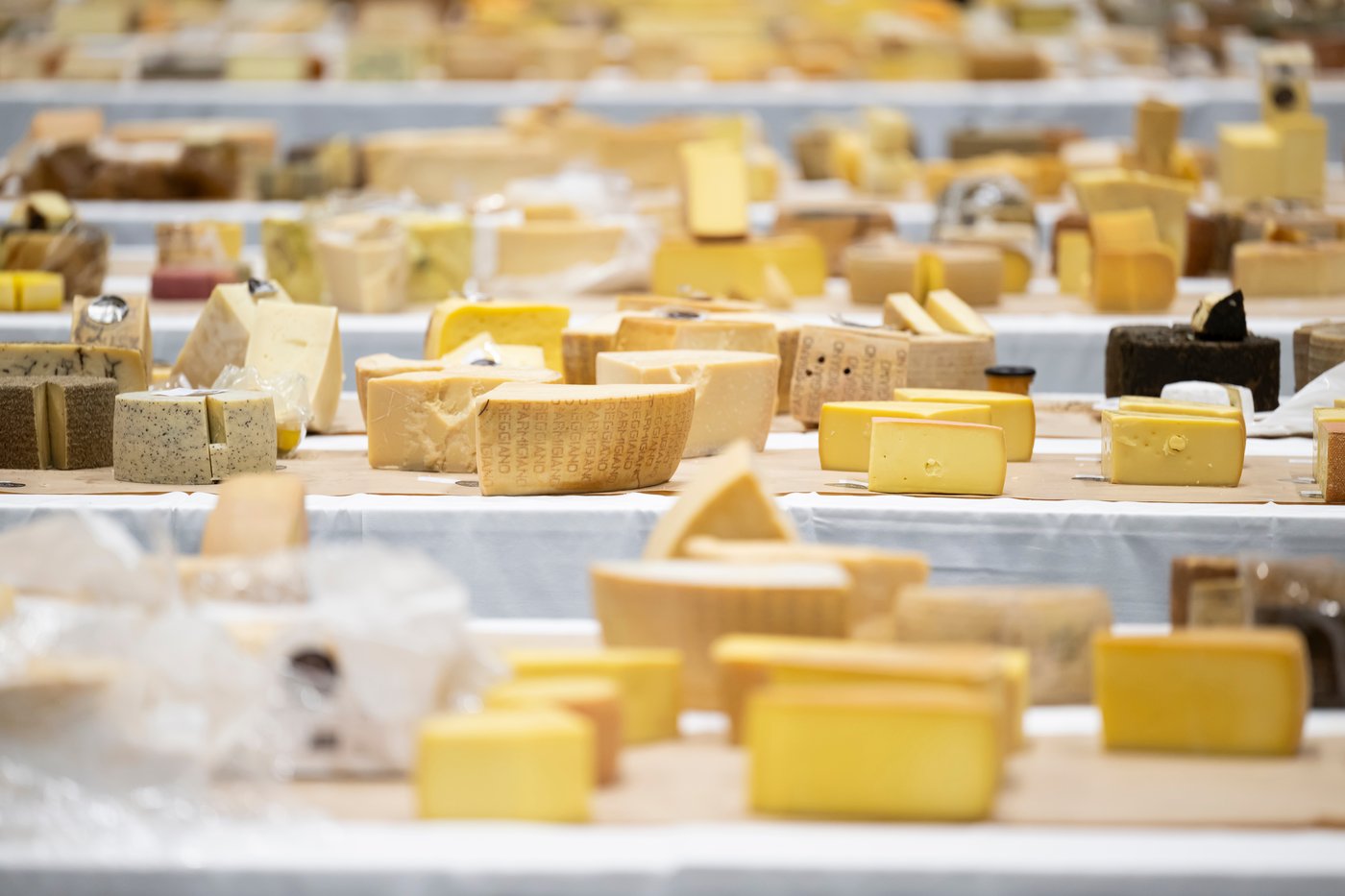 Heady odors and sensory overload as 5,200 cheeses compete for the World Cheese Awards | iNFOnews.ca Heady odors and sensory overload as 5,200 cheeses compete for the World Cheese Awards | iNFOnews.ca