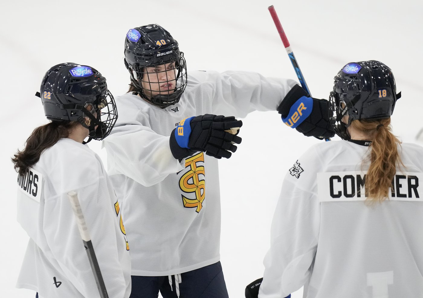 ‘Really hard’: PWHL players reckon with the business realities of expansion | iNFOnews.ca ‘Really hard’: PWHL players reckon with the business realities of expansion | iNFOnews.ca