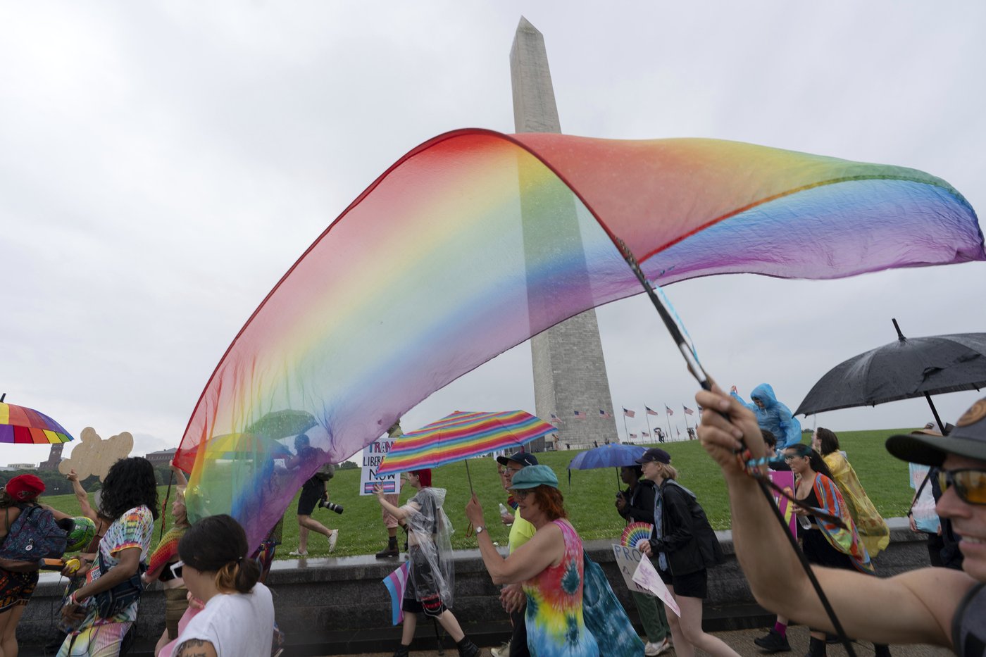 How US adults' views on same-sex marriage have changed since the Supreme Court's 2015 ruling | iNFOnews.ca How US adults' views on same-sex marriage have changed since the Supreme Court's 2015 ruling | iNFOnews.ca