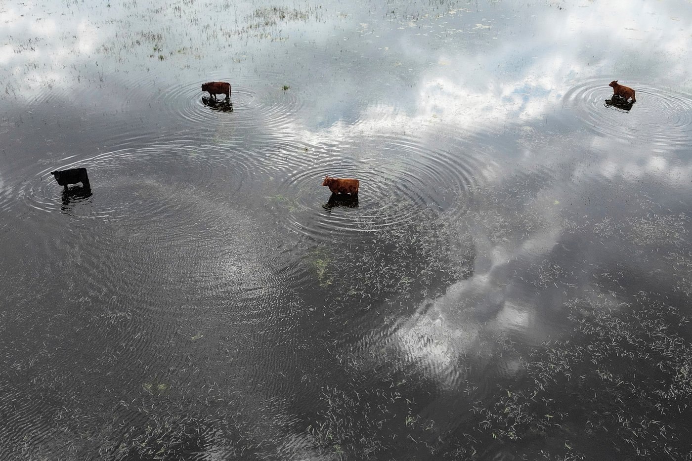 As world leaders enter climate talks, people in poverty have the most at stake | iNFOnews.ca As world leaders enter climate talks, people in poverty have the most at stake | iNFOnews.ca