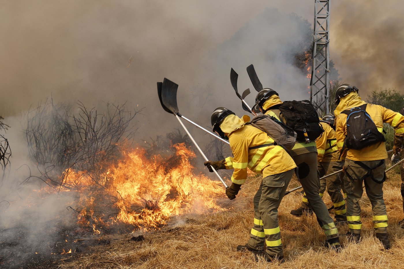 Climate change made heat and dryness that fueled Iberian wildfires 40 times more likely, study finds | iNFOnews.ca