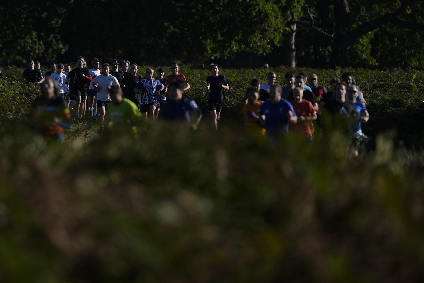 Feel-good parkruns have raced past their humble beginnings and now draw millions for fitness and fun | iNFOnews.ca Feel-good parkruns have raced past their humble beginnings and now draw millions for fitness and fun | iNFOnews.ca