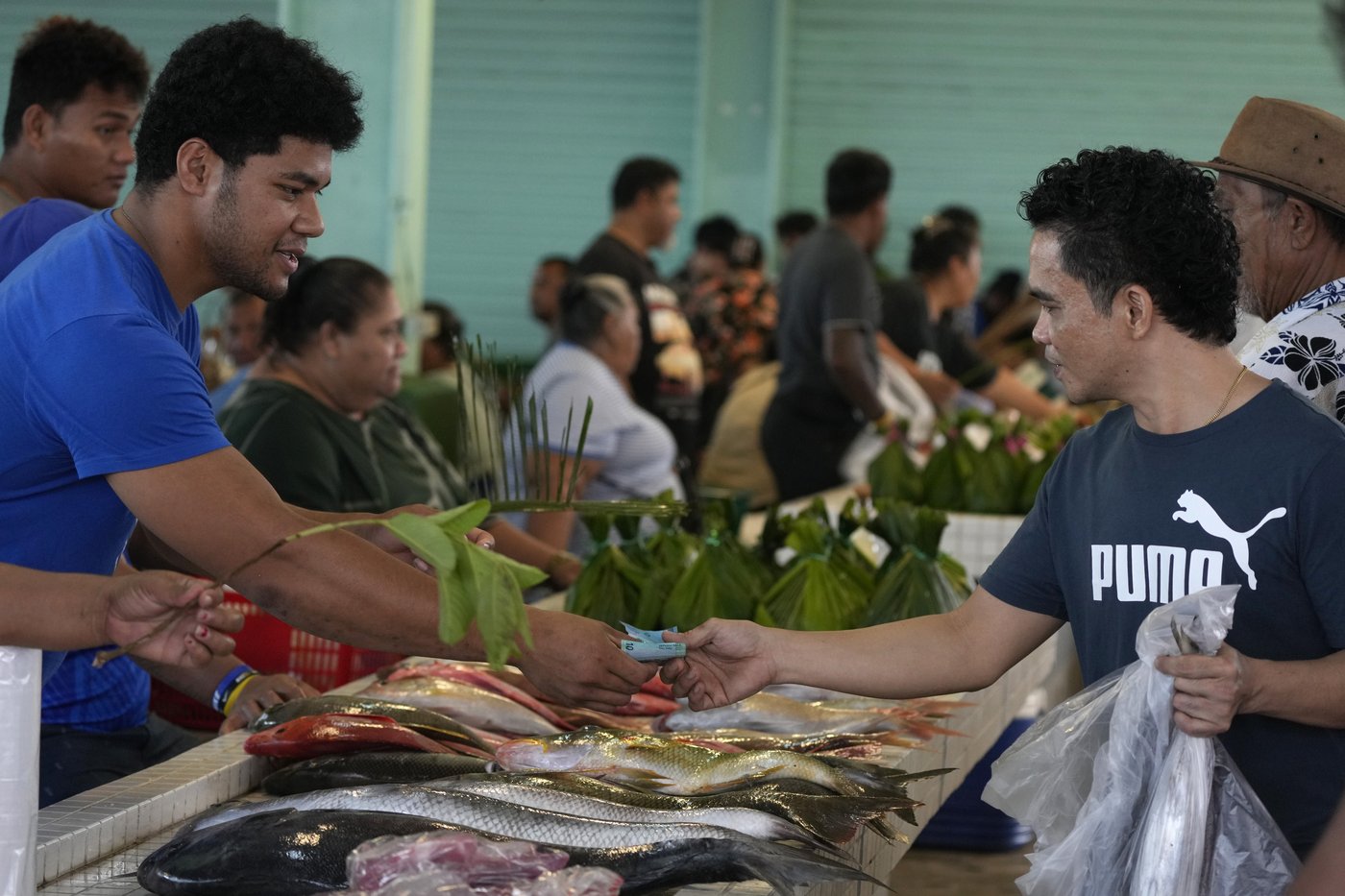A Samoan village prepares to welcome King Charles but fears an uncertain future for its reef | iNFOnews.ca