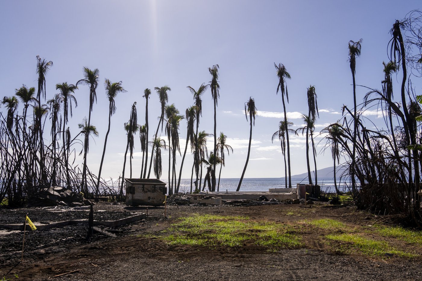 Researchers say poverty and unemployment are up in Lahaina after last year's wildfires | iNFOnews.ca Researchers say poverty and unemployment are up in Lahaina after last year's wildfires | iNFOnews.ca
