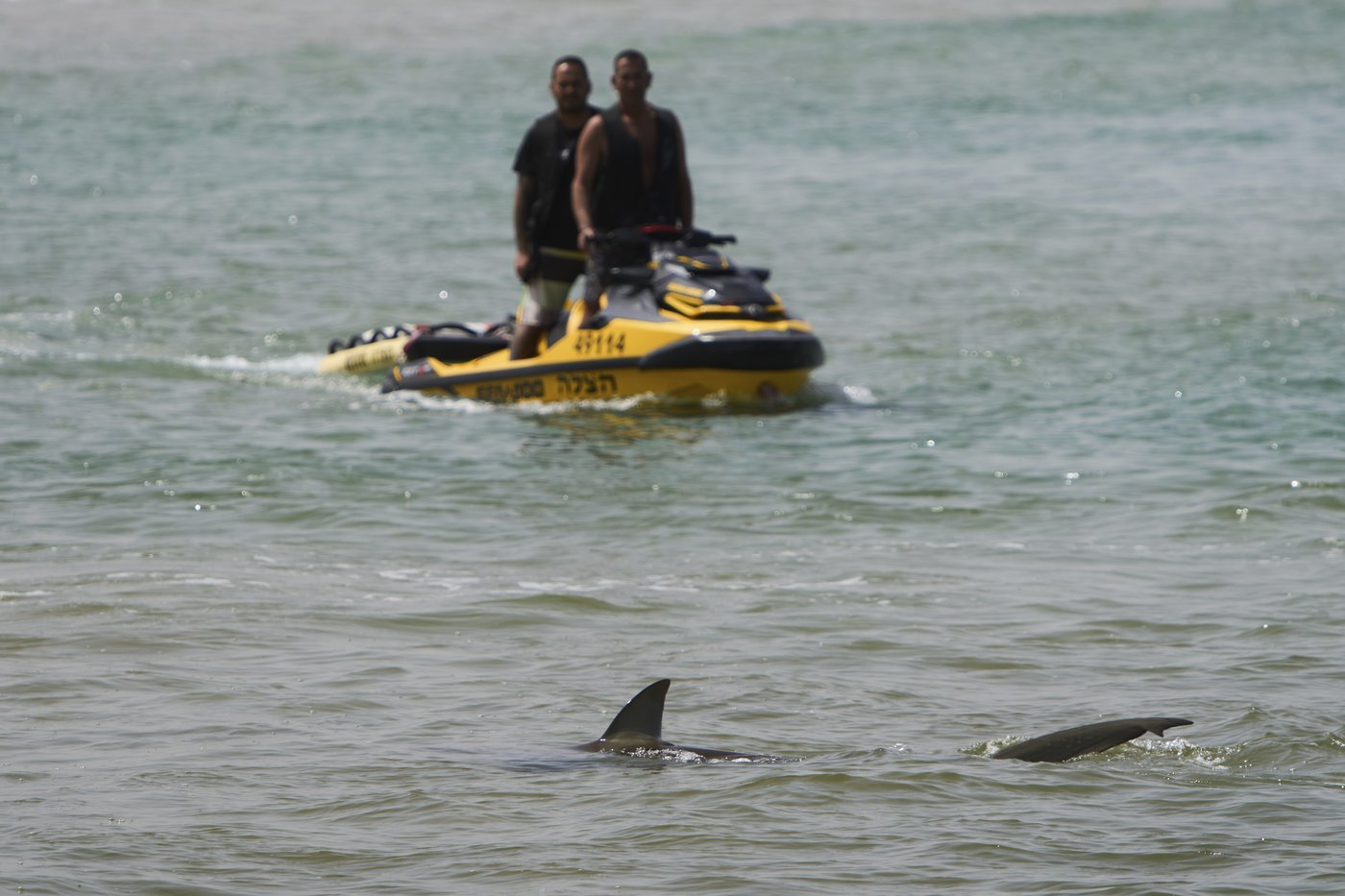 Swimmer's remains found after shark attack in waters off Israel's Mediterranean coast | iNFOnews.ca