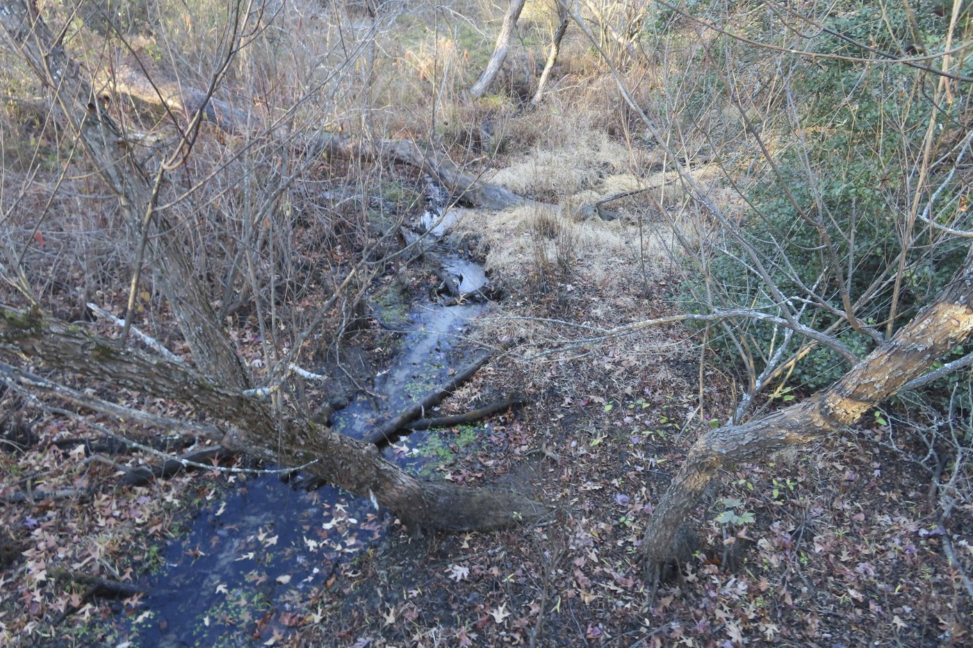 Record-setting dry conditions threaten more US wildfires, drinking water supplies | iNFOnews.ca Record-setting dry conditions threaten more US wildfires, drinking water supplies | iNFOnews.ca