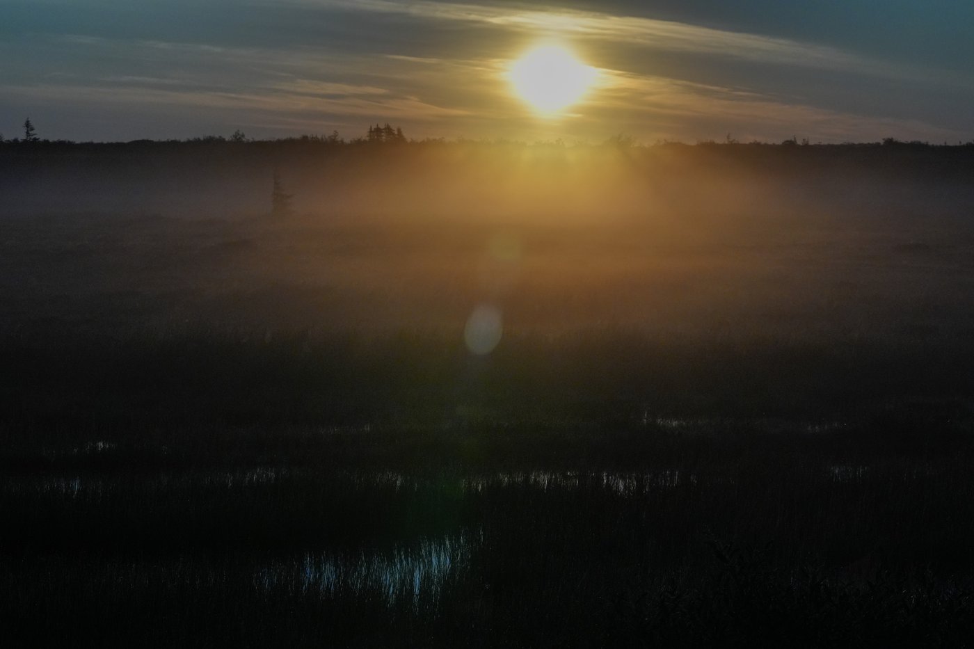 In the gateway to the Arctic, fat, ice and polar bears are crucial. All three are in trouble | iNFOnews.ca
