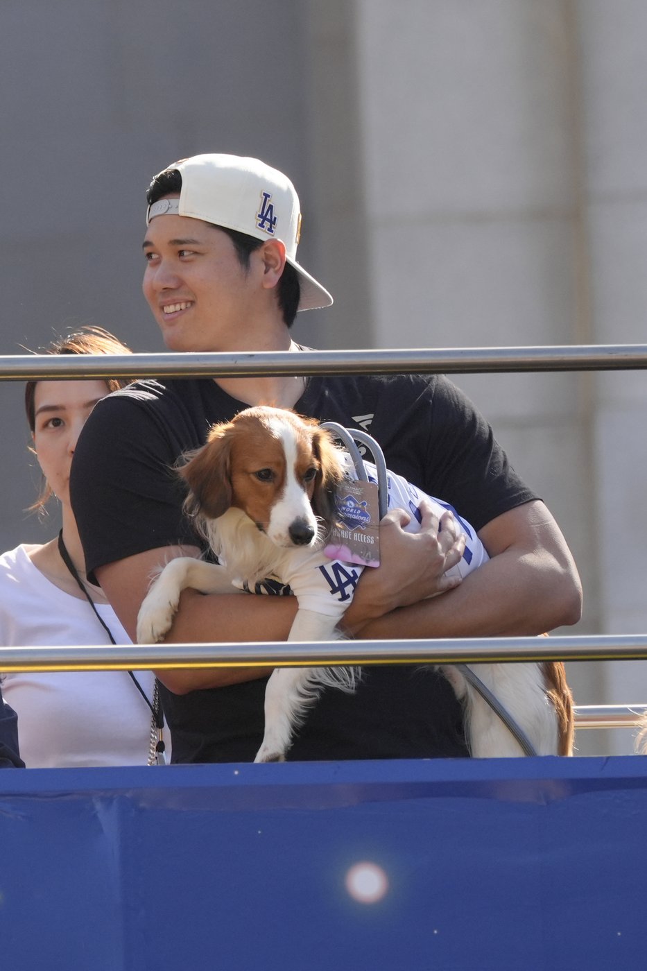 Meet Decoy Ohtani, perhaps the most valuable pet of the World Series | iNFOnews.ca