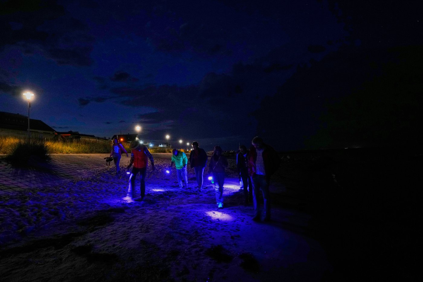 Finding happiness in amber: On Germany's Baltic coast, people go hunting for the precious pieces | iNFOnews.ca