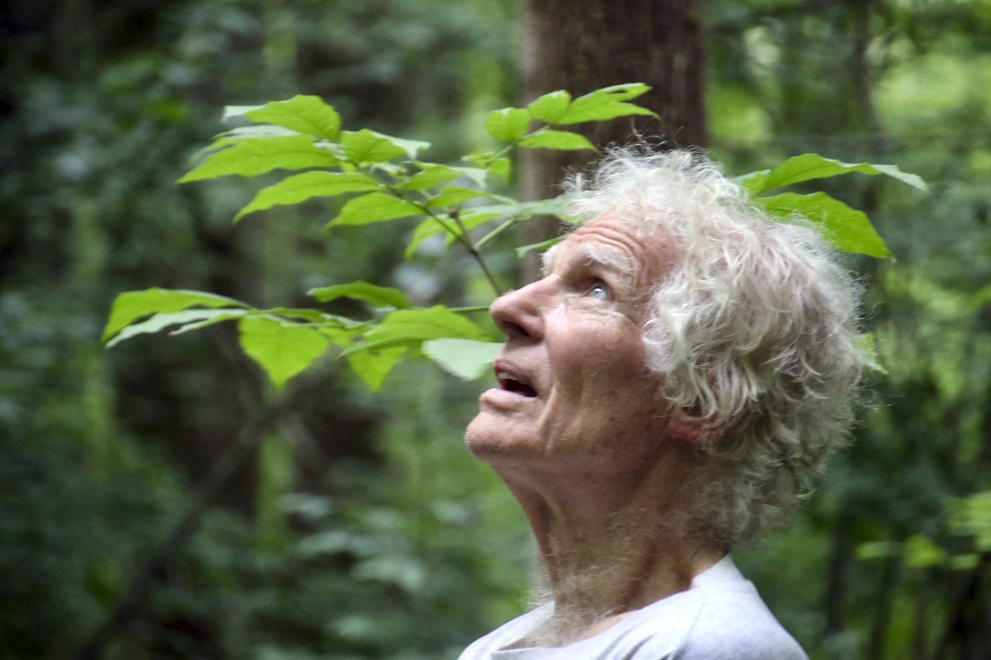 A 40-year-old Christian commune faces an uncertain future | iNFOnews.ca A 40-year-old Christian commune faces an uncertain future | iNFOnews.ca