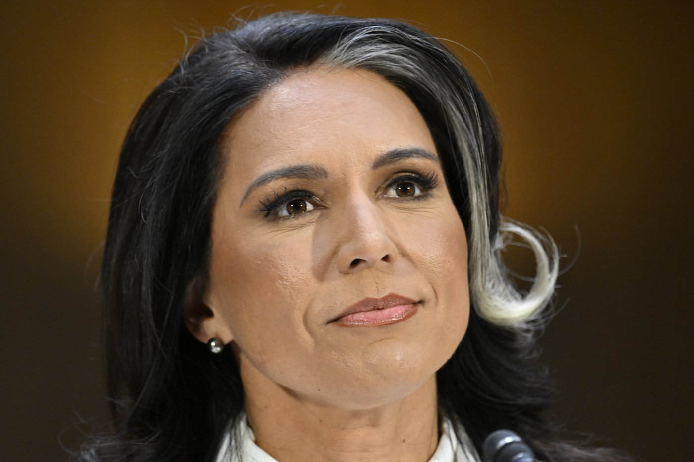 Tulsi Gabbard's views on Russia, Syria, Trump and government surveillance - in her own words | iNFOnews.ca