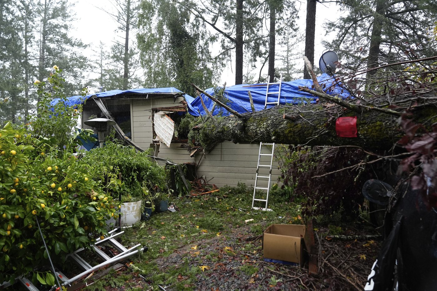Northern California gets record rain and heavy snow. Many have been in the dark for days in Seattle | iNFOnews.ca Northern California gets record rain and heavy snow. Many have been in the dark for days in Seattle | iNFOnews.ca