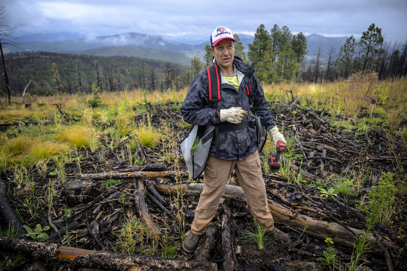 Volunteers help seedlings take root as New Mexico attempts to recover from historic wildfire | iNFOnews.ca