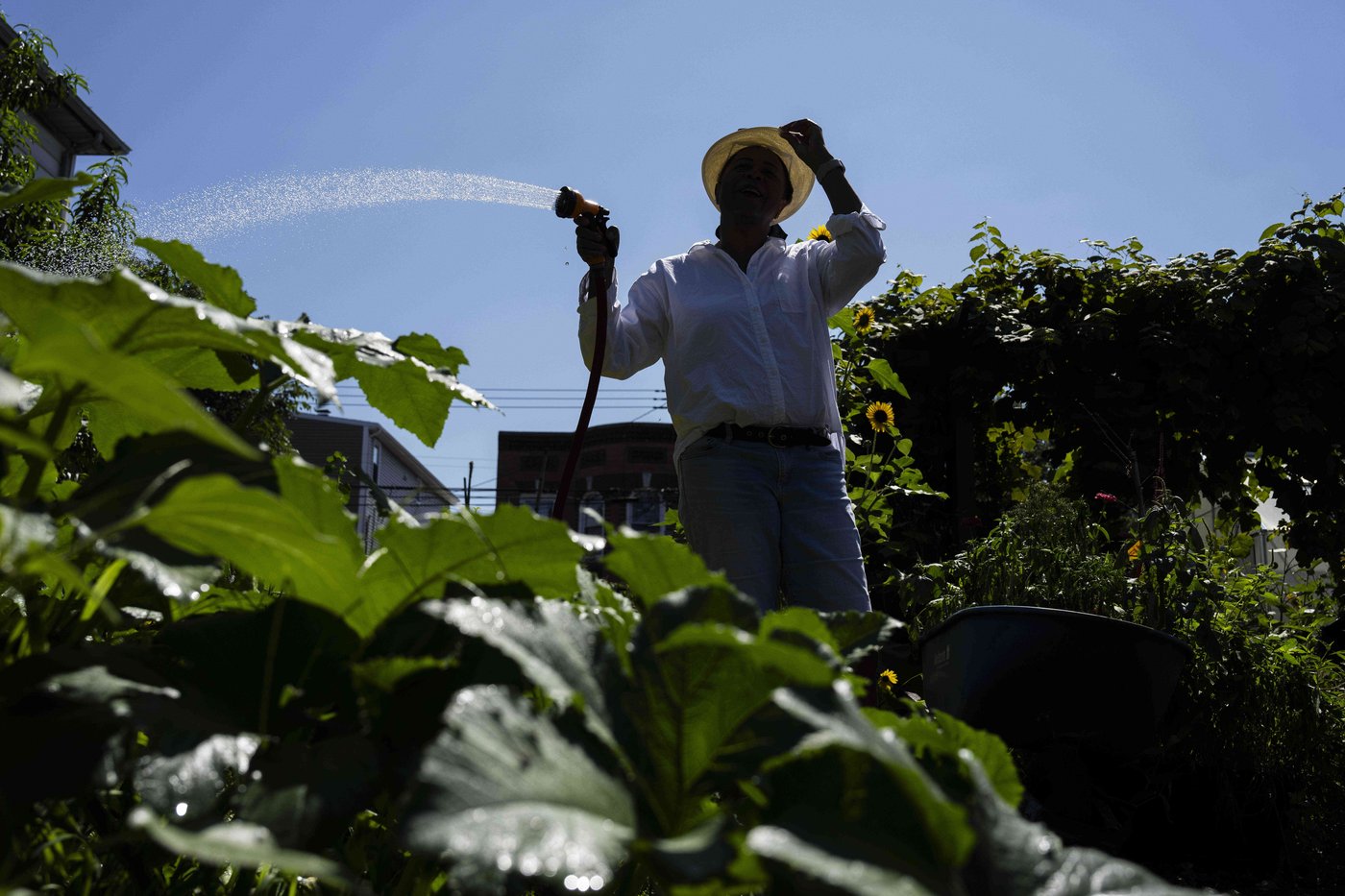 Green spaces are key to combating record heat in marginalized communities | iNFOnews.ca