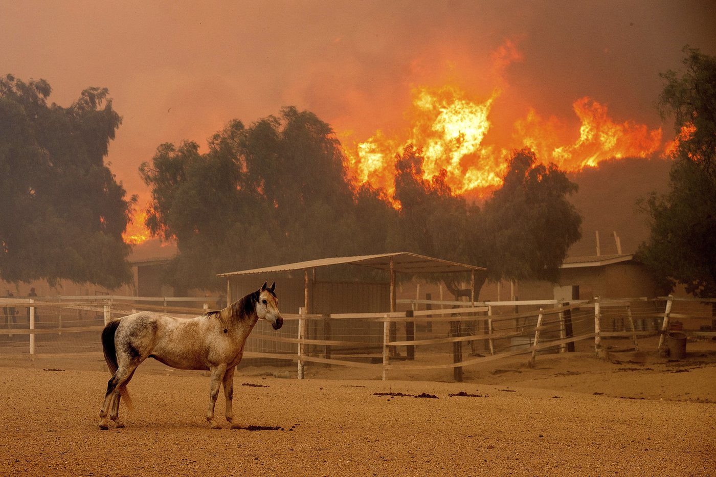 Southern California wildfire destroys 132 structures as officials look for fierce winds to subside | iNFOnews.ca Southern California wildfire destroys 132 structures as officials look for fierce winds to subside | iNFOnews.ca