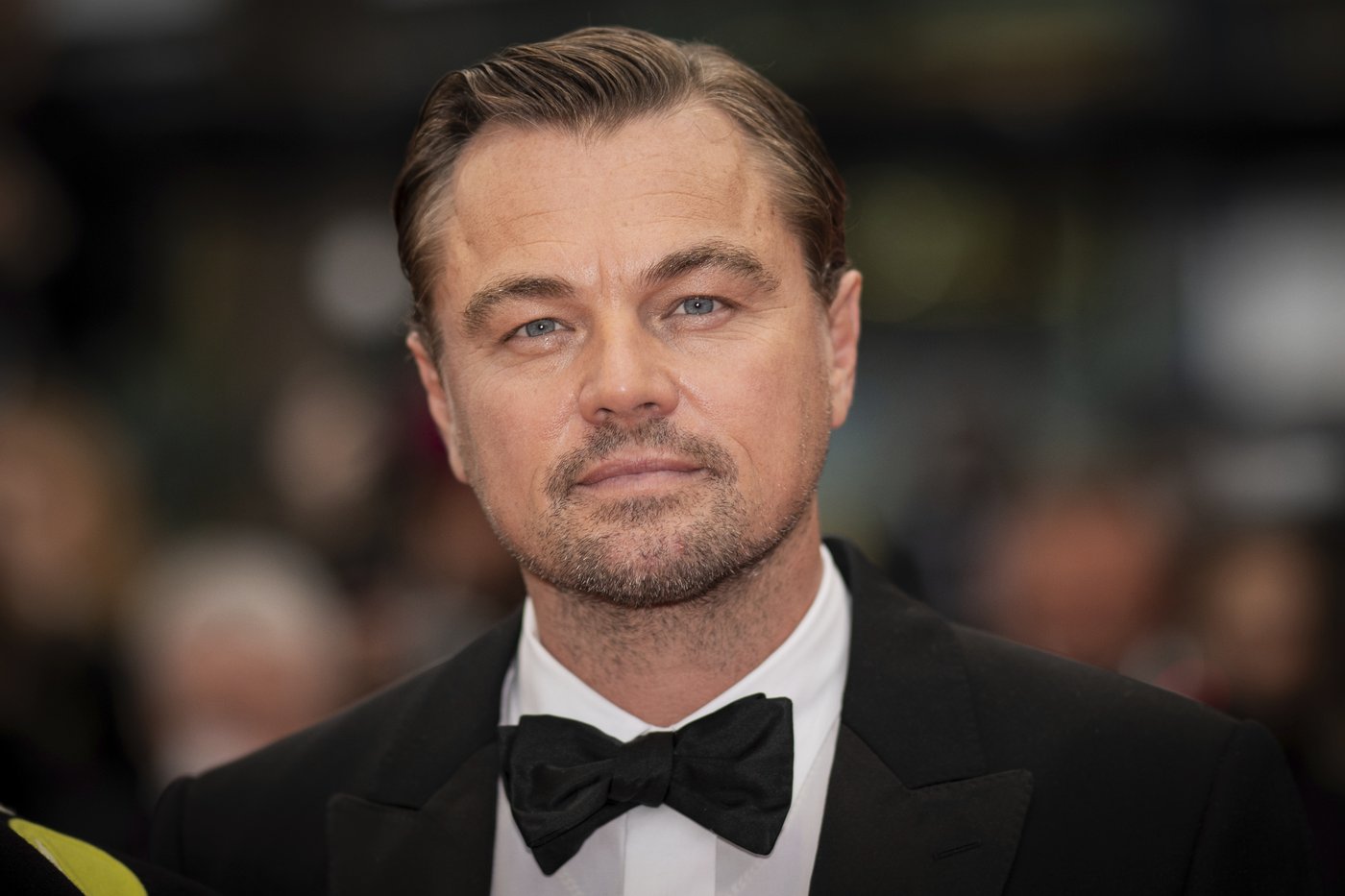 Leonardo DiCaprio endorses Kamala Harris for president | iNFOnews.ca Leonardo DiCaprio endorses Kamala Harris for president | iNFOnews.ca