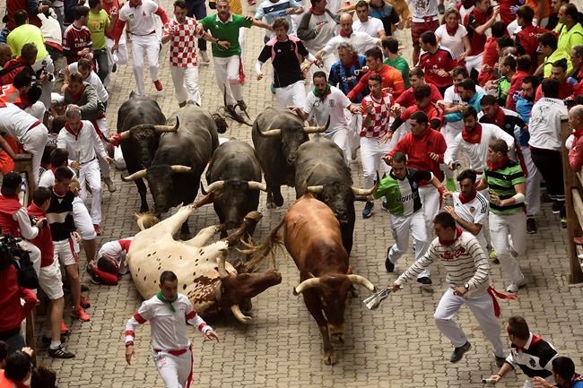 Spain: 9 injured, no one gored in final Pamplona bull run | iNFOnews.ca