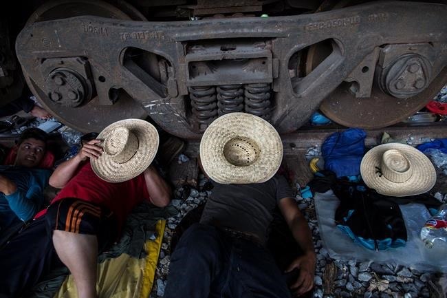 'We're heading north!' Migrants nix offer to stay in Mexico | iNFOnews.ca