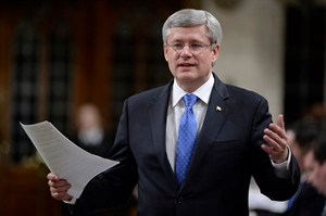 CP31045774