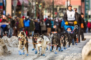 Iditarod sled dog teams embark on 1,000-mile trek across Alaska as race begins on new route | iNFOnews.ca CP32215121