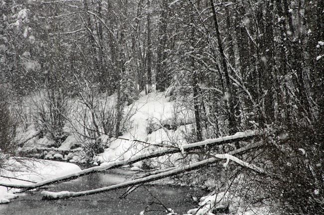 Record snowfall buries Anchorage | iNFOnews.ca