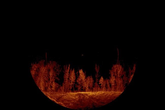 Underwater forest hampers search for missing Alabama woman | iNFOnews.ca