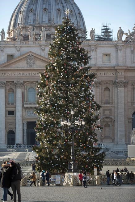 Rome's Christmas tree 'Mangy' needled for heavy shedding | iNFOnews.ca Rome's Christmas tree 'Mangy' needled for heavy shedding | iNFOnews.ca