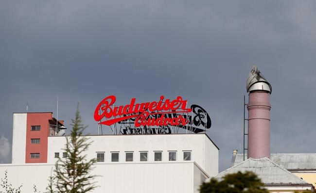 Czech brewer Budvar hits record as people drink more at home | iNFOnews.ca Czech brewer Budvar hits record as people drink more at home | iNFOnews.ca