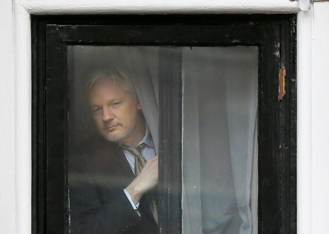 Assange bugged while at Ecuadorian Embassy, UK court told | iNFOnews.ca