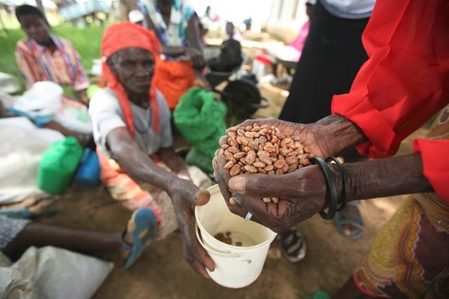 UN says Zimbabwe’s cash shortage hurts aid delivery efforts | iNFOnews.ca