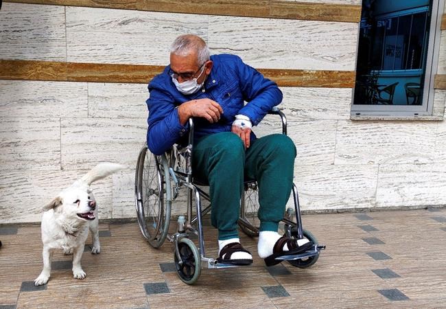 Dog spent days outside Turkish hospital waiting for owner | iNFOnews.ca