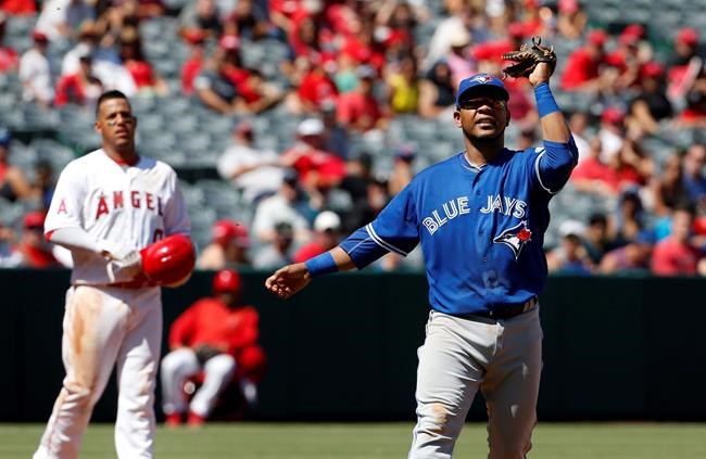 Swings, no stings: Blue Jays-Angels delayed by swarm of bees | iNFOnews.ca