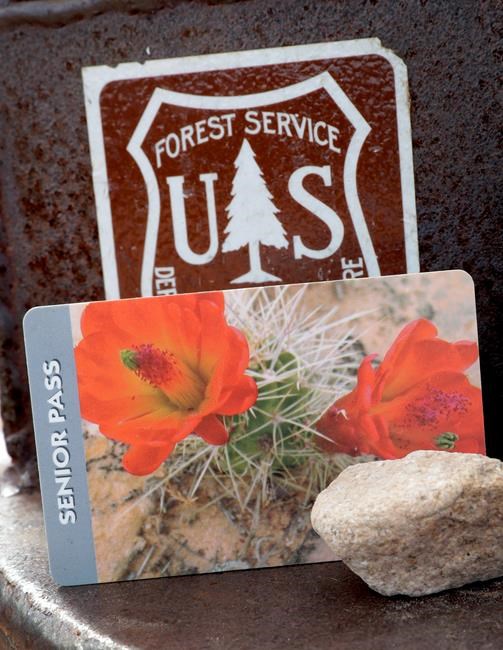 Seniors snap up US national park passes before price hike | iNFOnews.ca Seniors snap up US national park passes before price hike | iNFOnews.ca