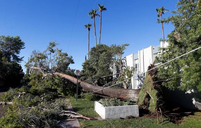 Western desert communities mop up after summer storms | iNFOnews.ca