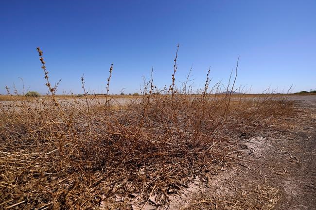 Much of U.S. Southwest left parched after monsoon season | iNFOnews.ca Much of U.S. Southwest left parched after monsoon season | iNFOnews.ca
