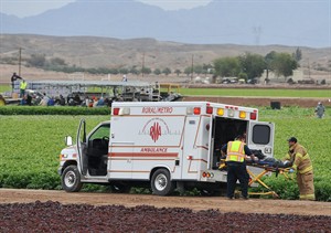 CP31400771