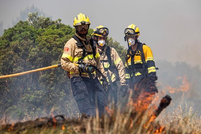 Wildfire in Spain rages for third day amid heatwave | iNFOnews.ca