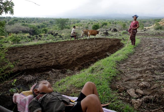 Thousands flee Bali volcano but some stay put or run to it | iNFOnews.ca