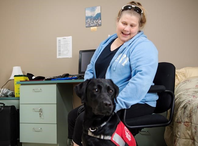 Diabetic alert dogs meet their owners for the first time, start bonding process | iNFOnews.ca