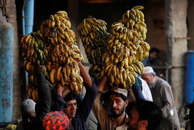 IMF team to visit Pakistan after request for bailout loans | iNFOnews.ca IMF team to visit Pakistan after request for bailout loans | iNFOnews.ca