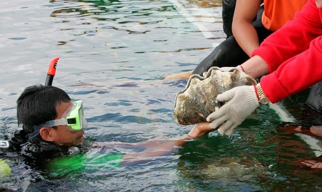 S.Korea actress charged in Thailand for catching giant clams | iNFOnews.ca S.Korea actress charged in Thailand for catching giant clams | iNFOnews.ca